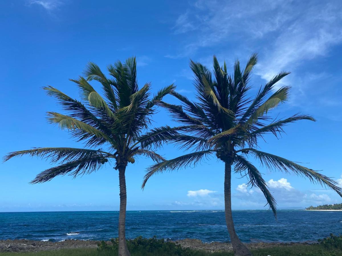 Villa Phare Caraibes Guadeloupe 르 물레 외부 사진